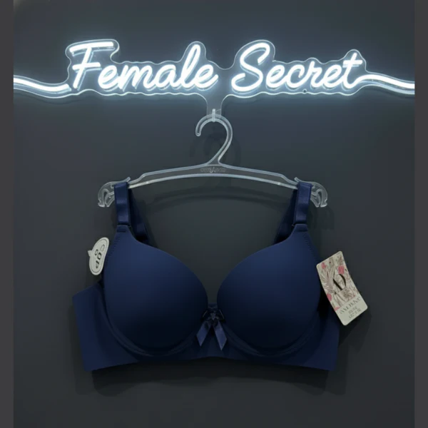 Pack of 2 Imported Padded Seamless Push-Up Bra and Penty Set