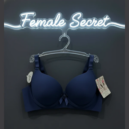 Pack of 2 Imported Padded Seamless Push-Up Bra and Penty Set