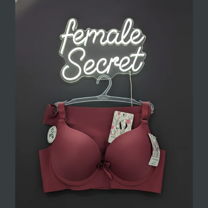 Pack of 2 Imported Padded Seamless Push-Up Bra and Penty Set