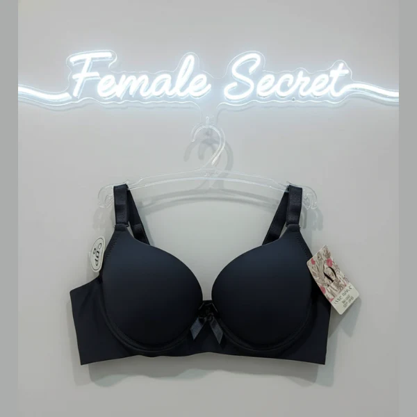 Pack of 2 Imported Padded Seamless Push-Up Bra and Penty Set